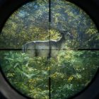 دانلود بازی theHunter Call of the Wild – Labrador Retriever برای کامپیوتر